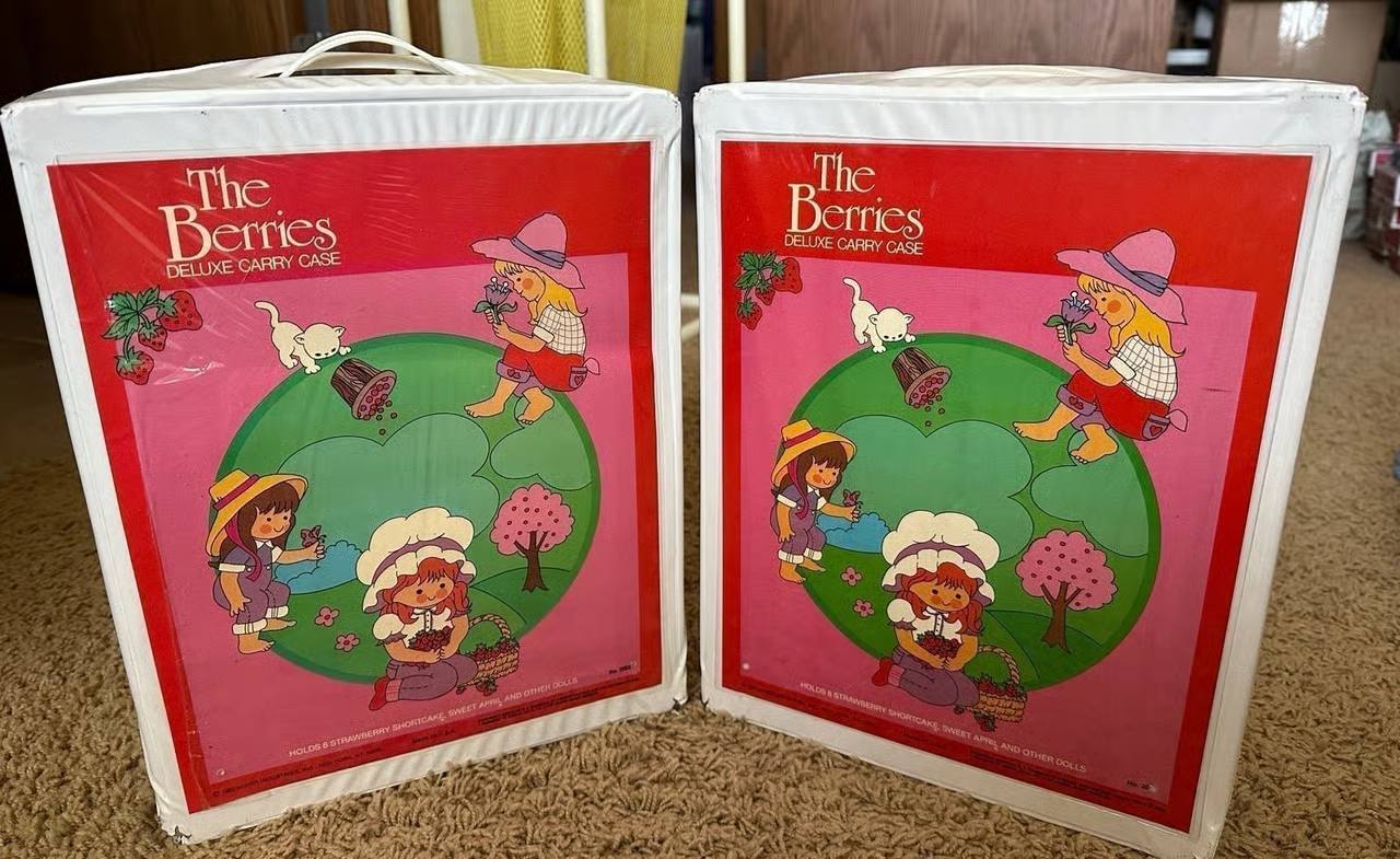 Vintage Strawberry Shortcake Deluxe Carry Cases – 1980s with Characters, Pets & Accessories