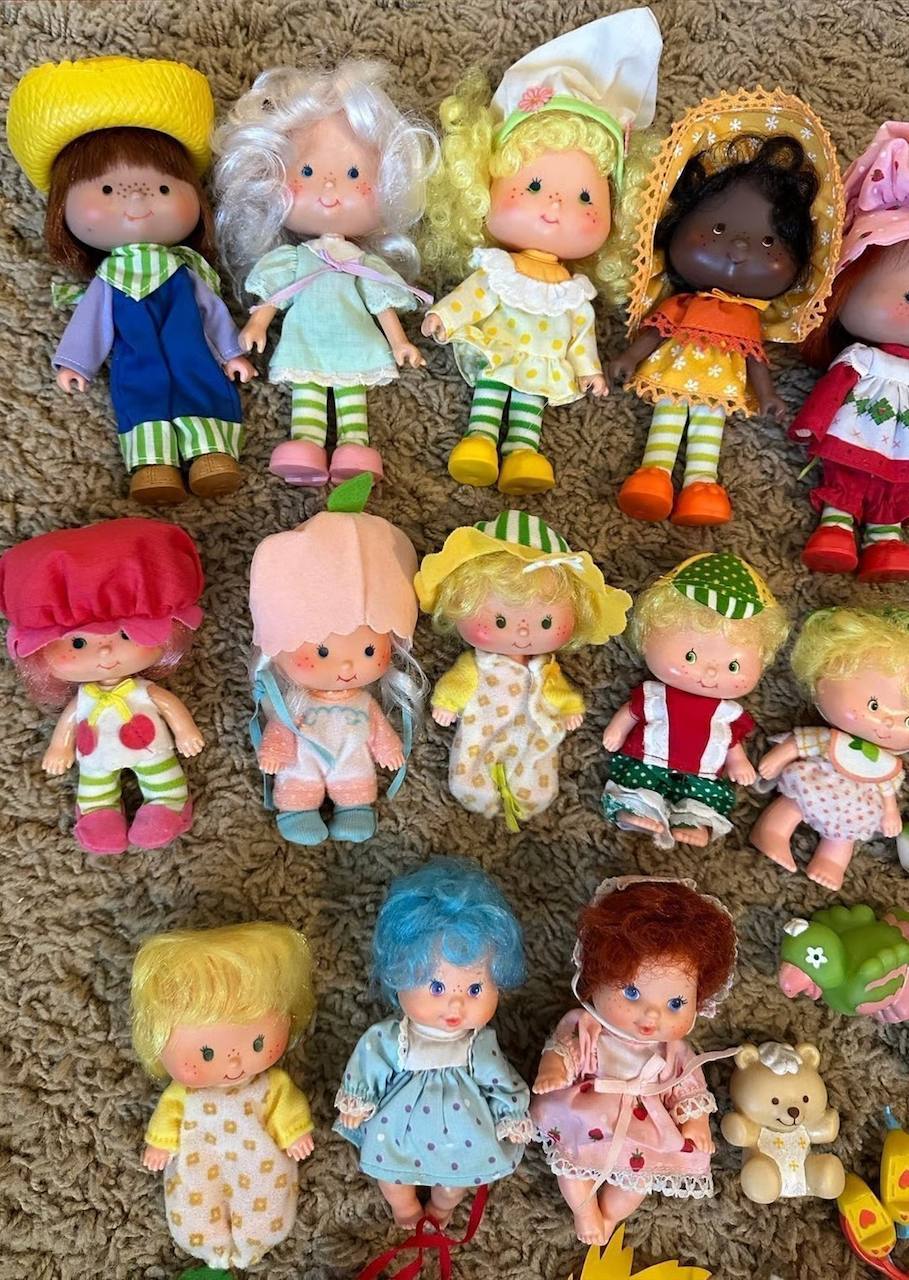 Vintage Strawberry Shortcake Deluxe Carry Cases – 1980s with Characters, Pets & Accessories