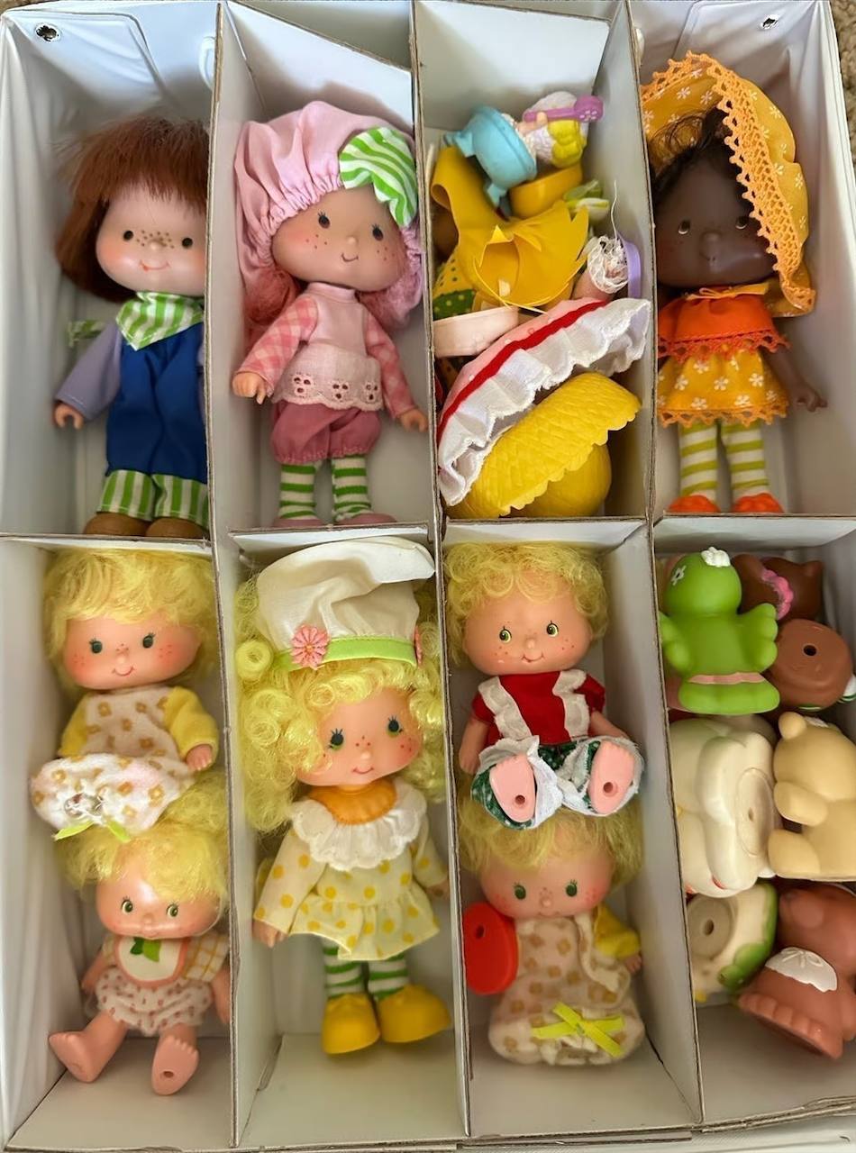 Vintage Strawberry Shortcake Deluxe Carry Cases – 1980s with Characters, Pets & Accessories