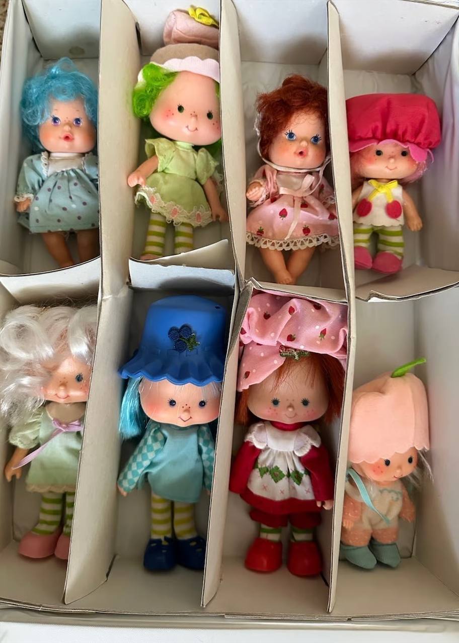 Vintage Strawberry Shortcake Deluxe Carry Cases – 1980s with Characters, Pets & Accessories