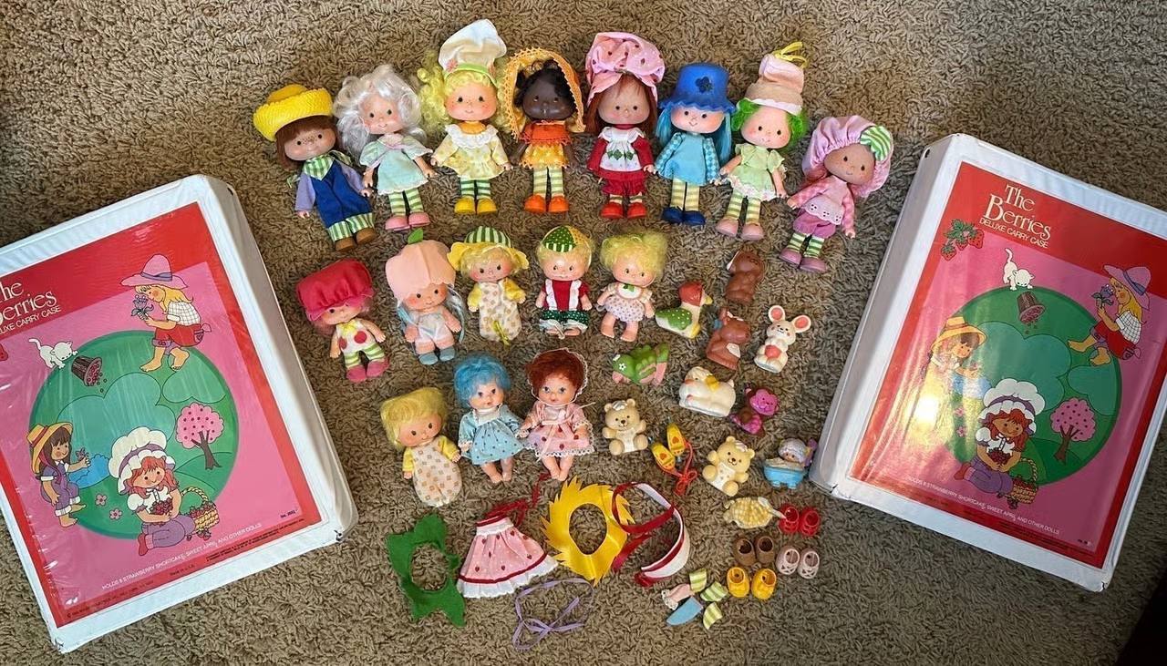 Vintage Strawberry Shortcake Deluxe Carry Cases – 1980s with Characters, Pets & Accessories